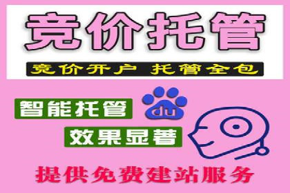 案例对比：不同平台信息流优化技巧